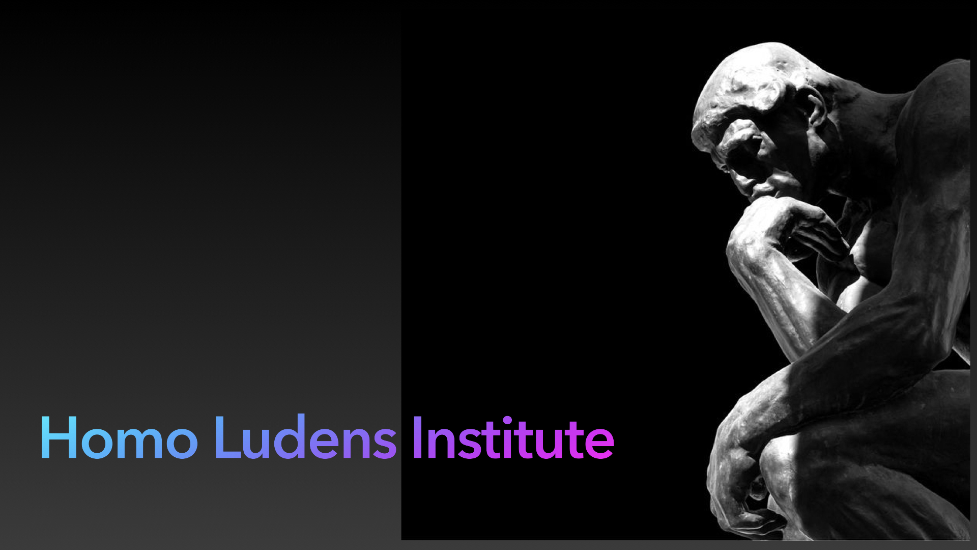 Homo Ludens Institute. Институт Человека.
